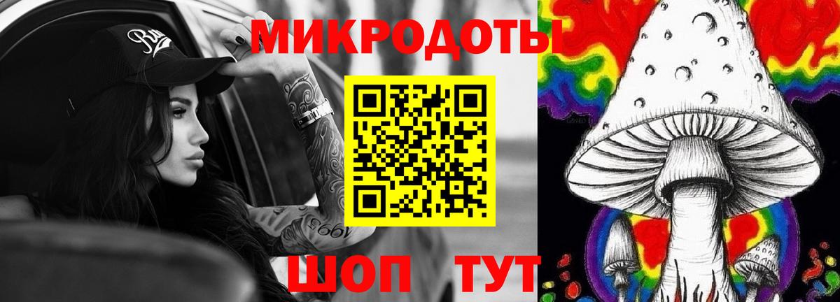 Псилоцибиновые грибы GOLDEN TEACHER Абакан