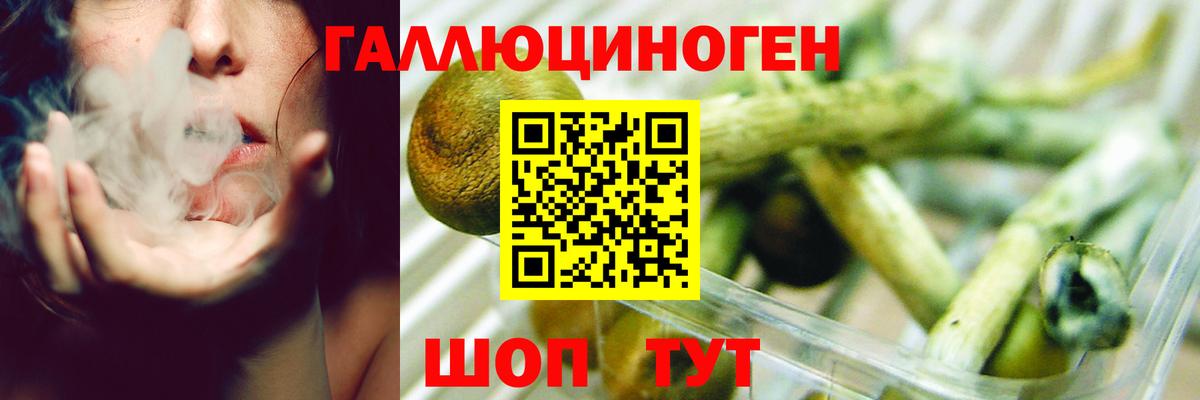 продажа наркотиков  Вход с VPN  Псилоцибиновые грибы Psilocybe  Абакан  Псилоцибиновые грибы мухоморы 